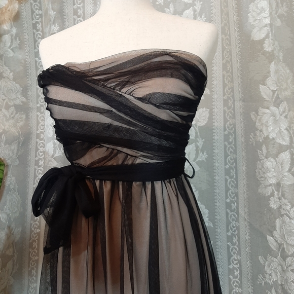 Mystic Black Beige Lace Floral Strapless Cocktail Midi Dress w Ribbon, Size S - Picture 11 of 12